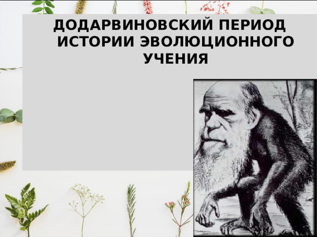 ДОДАРВИНОВСКИЙ ПЕРИОД ИСТОРИИ ЭВОЛЮЦИОННОГО УЧЕНИЯ 