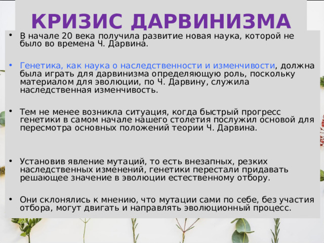 КРИЗИС ДАРВИНИЗМА В начале 20 века получила развитие новая наука, которой не было во времена Ч. Дарвина.  Генетика, как наука о наследственности и изменчивости , должна была играть для дарвинизма определяющую роль, поскольку материалом для эволюции, по Ч. Дарвину, служила наследственная изменчивость. Тем не менее возникла ситуация, когда быстрый прогресс генетики в самом начале нашего столетия послужил основой для пересмотра основных положений теории Ч. Дарвина.   Установив явление мутаций, то есть внезапных, резких наследственных изменений, генетики перестали придавать решающее значение в эволюции естественному отбору.  Они склонялись к мнению, что мутации сами по себе, без участия отбора, могут двигать и направлять эволюционный процесс. 