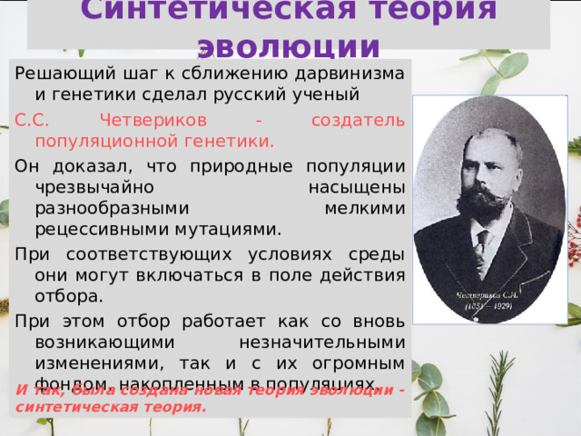 Синтетическая теория эволюции Решающий шаг к сближению дарвинизма и генетики сделал русский ученый С.С. Четвериков - создатель популяционной генетики. Он доказал, что природные популяции чрезвычайно насыщены разнообразными мелкими рецессивными мутациями. При соответствующих условиях среды они могут включаться в поле действия отбора. При этом отбор работает как со вновь возникающими незначительными изменениями, так и с их огромным фондом, накопленным в популяциях. И так, была создана новая теория эволюции - синтетическая теория.  