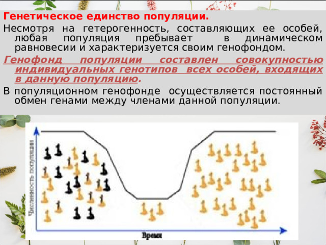 Генетическое единство популяции.  Несмотря на гетерогенность, составляющих ее особей, любая популяция пребывает в динамическом равновесии и характеризуется своим генофондом. Генофонд популяции составлен совокупностью индивидуальных генотипов всех особей, входящих в данную популяцию . В популяционном генофонде осуществляется постоянный обмен генами между членами данной популяции. 