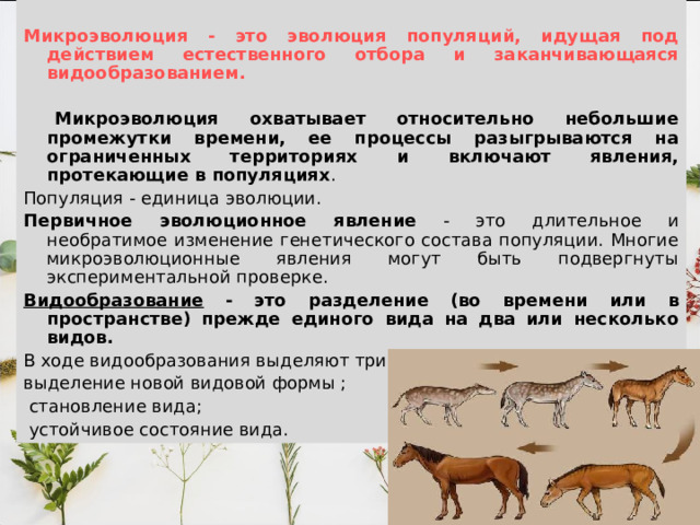 Микроэволюция - это эволюция популяций, идущая под действием естественного отбора и заканчивающаяся видообразованием.   Микроэволюция охватывает относительно небольшие промежутки времени, ее процессы разыгрываются на ограниченных территориях и включают явления, протекающие в популяциях . Популяция - единица эволюции. Первичное эволюционное явление - это длительное и необратимое изменение генетического состава популяции. Многие микроэволюционные явления могут быть подвергнуты экспериментальной проверке. Видообразование - это разделение (во времени или в пространстве) прежде единого вида на два или несколько видов.  В ходе видообразования выделяют три основных этапа: выделение новой видовой формы ;  становление вида;  устойчивое состояние вида. 