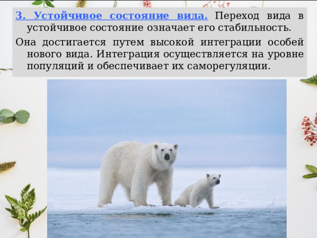 3. Устойчивое состояние вида.  Переход вида в устойчивое состояние означает его стабильность. Она достигается путем высокой интеграции особей нового вида. Интеграция осуществляется на уровне популяций и обеспечивает их саморегуляции. 