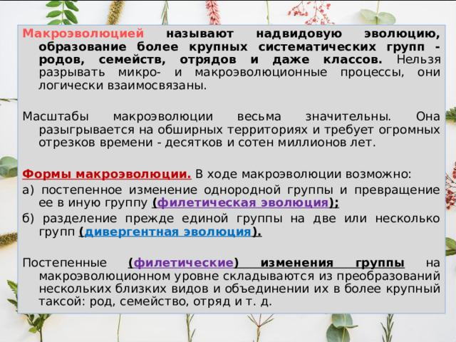 Макроэволюцией называют надвидовую эволюцию, образование более крупных систематических групп - родов, семейств, отрядов и даже классов. Нельзя разрывать микро- и макроэволюционные процессы, они логически взаимосвязаны. Масштабы макроэволюции весьма значительны. Она разыгрывается на обширных территориях и требует огромных отрезков времени - десятков и сотен миллионов лет.  Формы макроэволюции.  В ходе макроэволюции возможно: а) постепенное изменение однородной группы и превращение ее в иную группу ( филетическая эволюция );  б) разделение прежде единой группы на две или несколько групп ( дивергентная эволюция ). Постепенные ( филетические ) изменения группы на макроэволюционном уровне складываются из преобразований нескольких близких видов и объединении их в более крупный таксой: род, семейство, отряд и т. д. 