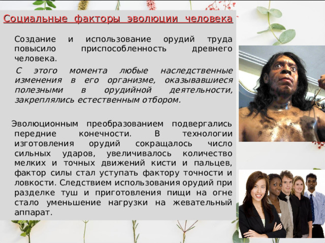 Социальные факторы эволюции человека   Создание и использование орудий труда повысило приспособленность древнего человека.  С этого момента любые наследственные изменения в его организме, оказывавшиеся полезными в орудийной деятельности, закреплялись естественным отбором.   Эволюционным преобразованием подвергались передние конечности. В технологии изготовления орудий сокращалось число сильных ударов, увеличивалось количество мелких и точных движений кисти и пальцев, фактор силы стал уступать фактору точности и ловкости. Следствием использования орудий при разделке туш и приготовления пищи на огне стало уменьшение нагрузки на жевательный аппарат. 