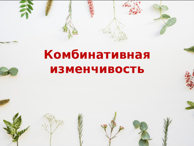 Комбинативная изменчивость 