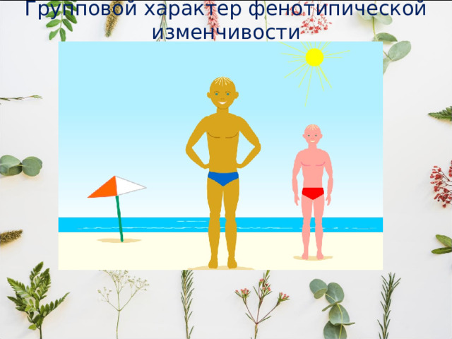 Групповой характер фенотипической изменчивости 