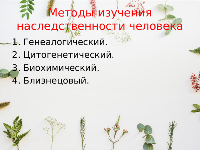 Методы изучения наследственности человека Генеалогический. Цитогенетический. Биохимический. Близнецовый. 