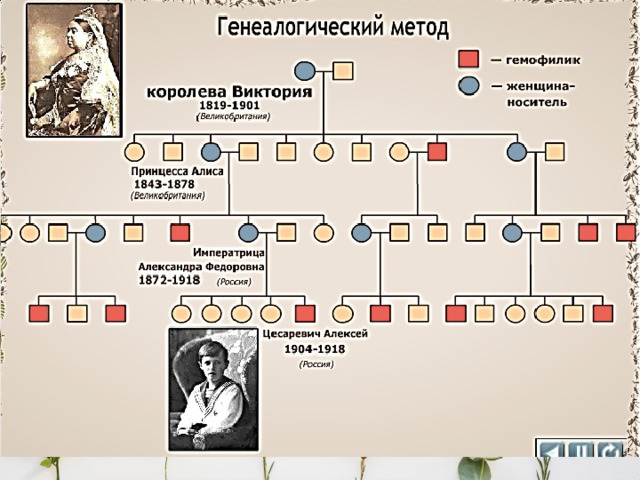 Генеалогический.   