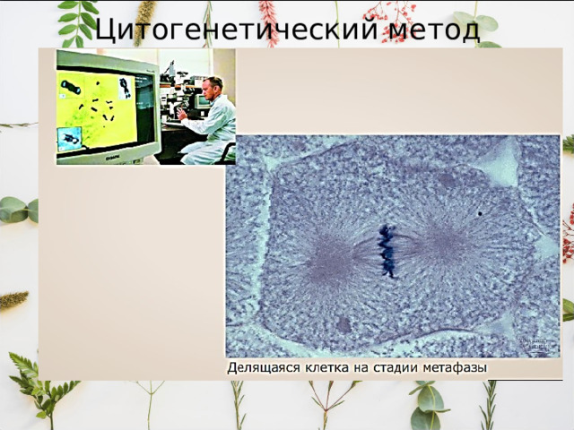 Цитогенетический метод 