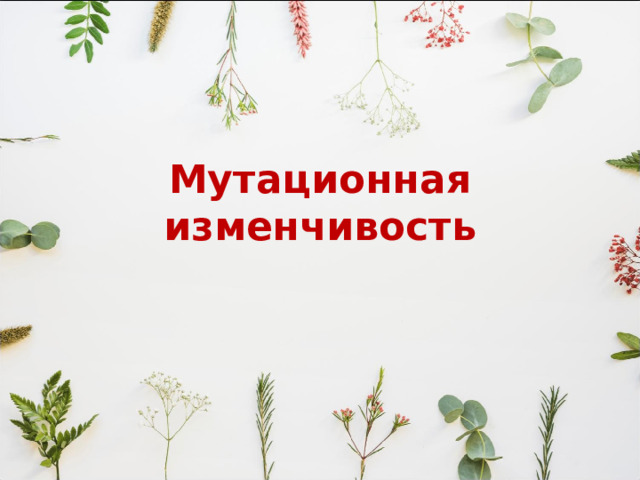 Мутационная изменчивость 