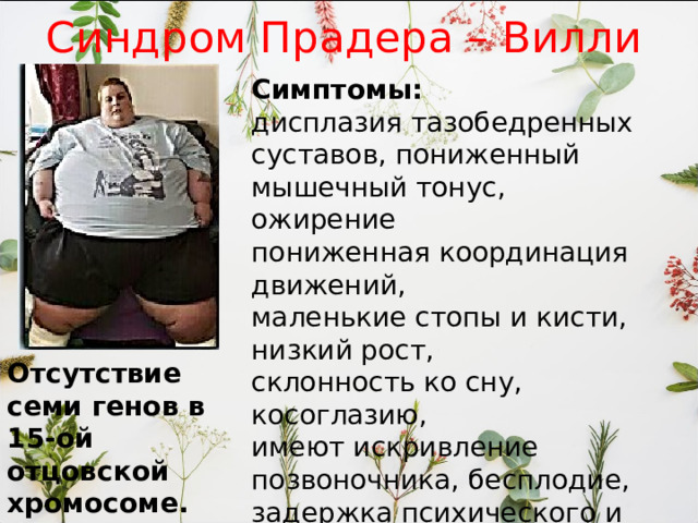 Синдром Прадера – Вилли Симптомы: дисплазия тазобедренных суставов, пониженный мышечный тонус, ожирение пониженная координация движений, маленькие стопы и кисти, низкий рост, склонность ко сну, косоглазию, имеют искривление позвоночника, бесплодие, задержка психического и речевого развития. Отсутствие семи генов в 15-ой отцовской хромосоме. 