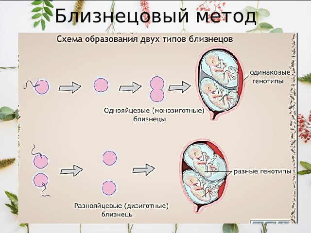 Близнецовый метод 