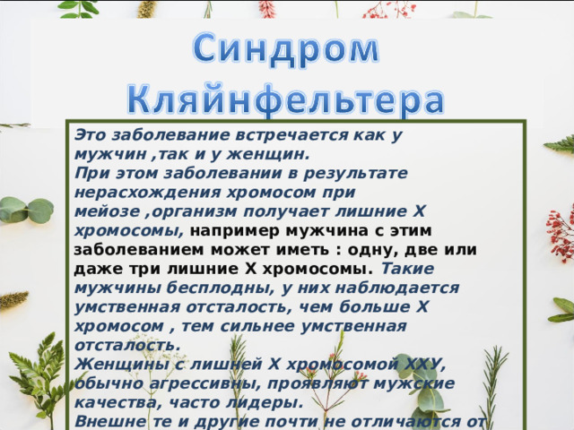 Это заболевание встречается как у мужчин ,так и у женщин. При этом заболевании в результате нерасхождения хромосом при мейозе ,организм получает лишние Х хромосомы, например мужчина с этим заболеванием может иметь : одну, две или даже три лишние Х хромосомы. Такие мужчины бесплодны, у них наблюдается умственная отсталость, чем больше Х хромосом , тем сильнее умственная отсталость. Женщины с лишней Х хромосомой ХХУ, обычно агрессивны, проявляют мужские качества, часто лидеры. Внешне те и другие почти не отличаются от здоровых. 