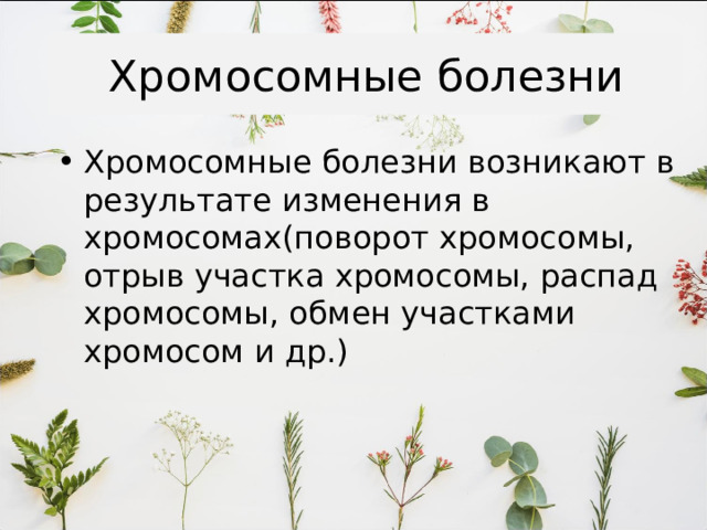 Хромосомные болезни Хромосомные болезни возникают в результате изменения в хромосомах(поворот хромосомы, отрыв участка хромосомы, распад хромосомы, обмен участками хромосом и др.) 