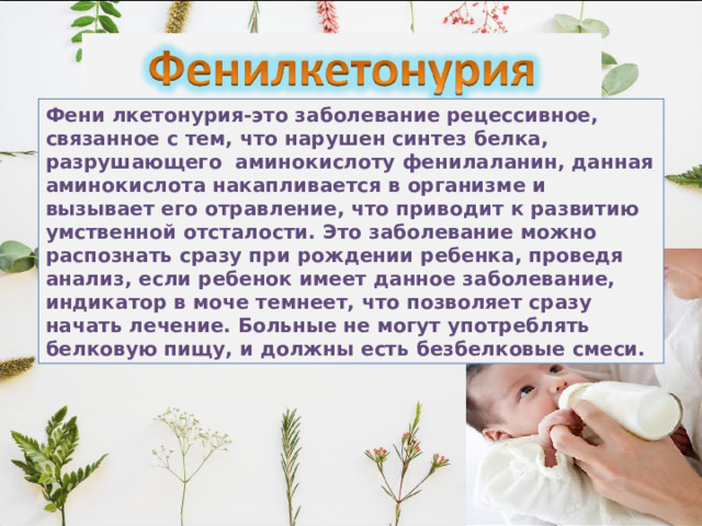 Фени лкетонурия-это заболевание рецессивное, связанное с тем, что нарушен синтез белка, разрушающего аминокислоту фенилаланин, данная аминокислота накапливается в организме и вызывает его отравление, что приводит к развитию умственной отсталости. Это заболевание можно распознать сразу при рождении ребенка, проведя анализ, если ребенок имеет данное заболевание, индикатор в моче темнеет, что позволяет сразу начать лечение. Больные не могут употреблять белковую пищу, и должны есть безбелковые смеси. 