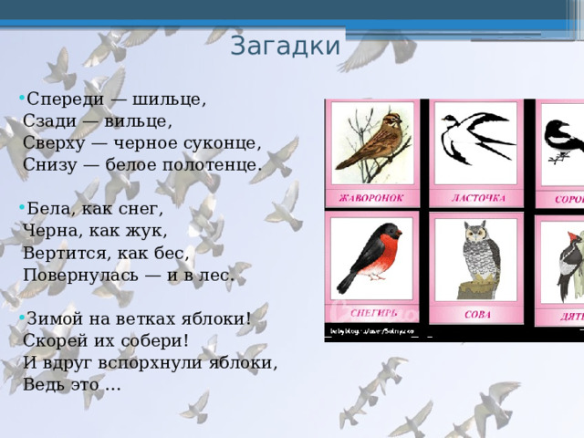 Загадки Спереди — шильце,  Сзади — вильце,  Сверху — черное суконце,  Снизу — белое полотенце. Бела, как снег,  Черна, как жук,  Вертится, как бес,  Повернулась — и в лес. Зимой на ветках яблоки!  Скорей их собери!  И вдруг вспорхнули яблоки,  Ведь это ... 