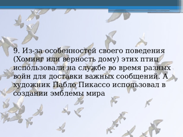 9. Из-за особенностей своего поведения (Хоминг или верность дому) этих птиц использовали на службе во время разных войн для доставки важных сообщений. А художник Пабло Пикассо использовал в создании эмблемы мира 