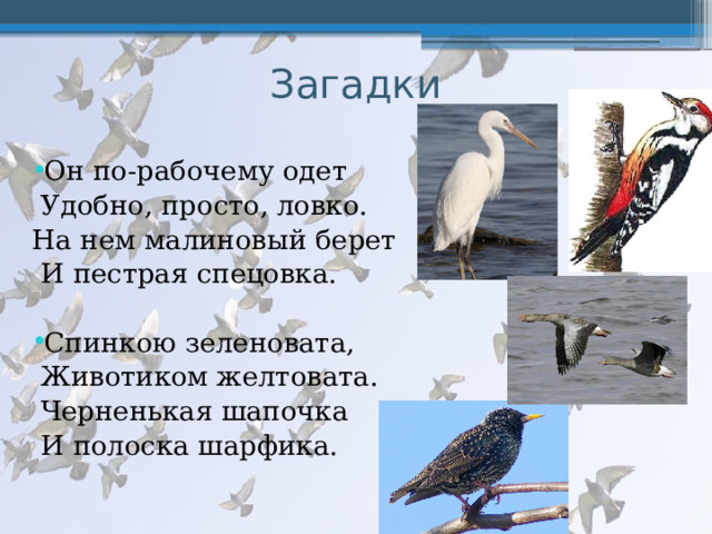 Загадки Он по-рабочему одет  Удобно, просто, ловко. На нем малиновый берет  И пестрая спецовка. Спинкою зеленовата,  Животиком желтовата.  Черненькая шапочка  И полоска шарфика. 
