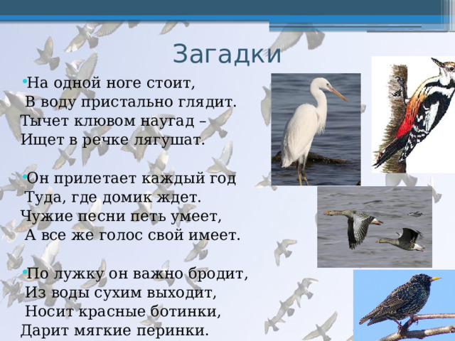 Загадки На одной ноге стоит,  В воду пристально глядит. Тычет клювом наугад – Ищет в речке лягушат. Он прилетает каждый год  Туда, где домик ждет. Чужие песни петь умеет,  А все же голос свой имеет. По лужку он важно бродит,  Из воды сухим выходит,  Носит красные ботинки, Дарит мягкие перинки. 