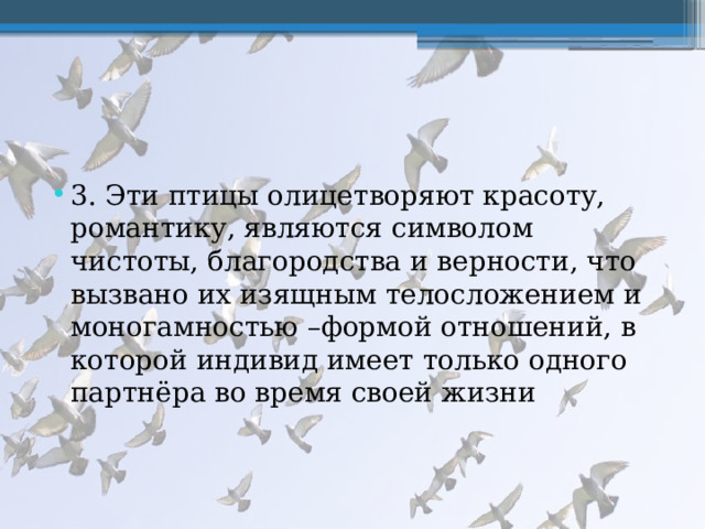3. Эти птицы олицетворяют красоту, романтику, являются символом чистоты, благородства и верности, что вызвано их изящным телосложением и моногамностью –формой отношений, в которой индивид имеет только одного партнёра во время своей жизни 