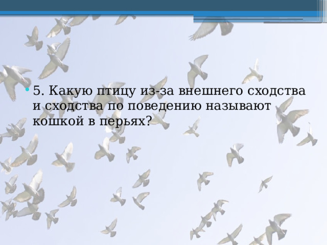 5. Какую птицу из-за внешнего сходства и сходства по поведению называют кошкой в перьях? 