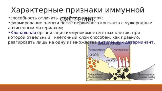 Характерные признаки иммунной системы: способность отличать «своё» от «чужого»; формирование памяти после первичного контакта с чужеродным антигенным материалом; Клональная организация иммунокомпетентных клеток, при которой отдельный клеточный клон способен, как правило, реагировать лишь на одну из множества  антигенных детерминант . 