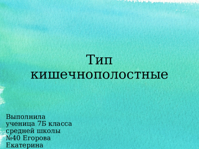 Тип кишечнополостные Выполнила ученица 7Б класса средней школы №40 Егорова Екатерина 