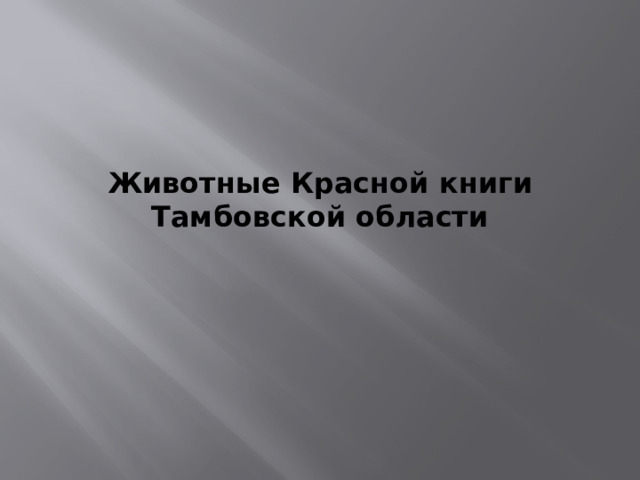 Животные Красной книги Тамбовской области   