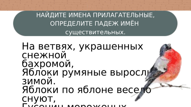 НАЙДИТЕ ИМЕНА ПРИЛАГАТЕЛЬНЫЕ, ОПРЕДЕЛИТЕ ПАДЕЖ ИМЁН существительных. На ветвях, украшенных снежной бахромой, Яблоки румяные выросли зимой. Яблоки по яблоне весело снуют, Гусениц мороженых яблоки клюют. 
