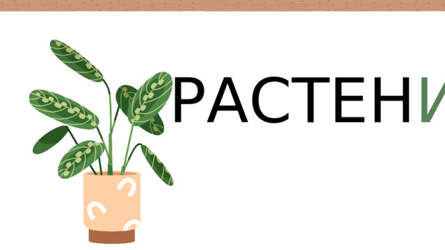 РАСТЕН ИЕ 