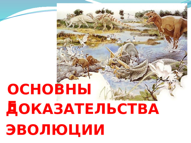 ОСНОВНЫЕ ДОКАЗАТЕЛЬСТВА ЭВОЛЮЦИИ  