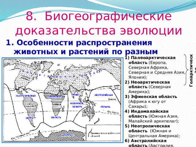 Голарктическая 8. Биогеографические доказательства эволюции 1. Особенности распространения животных и растений по разным континентам. 1) Палеоарктическая область (Европа, Северная Африка, Северная и Средняя Азия, Япония); 2) Неоарктическая область (Северная Америка); 3) Эфиопская область (Африка к югу от Сахары); 4) Индомалайская область (Южная Азия, Малайский архипелаг); 5) Неотропическая область (Южная и Центральная Америка); 6) Австралийская область (Австралия, Новая Гвинея, Новая Зеландия, Новая Каледония).  