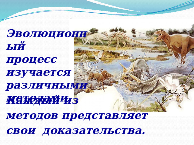 Эволюционный процесс изучается различными методами. Каждый из методов представляет свои доказательства.  