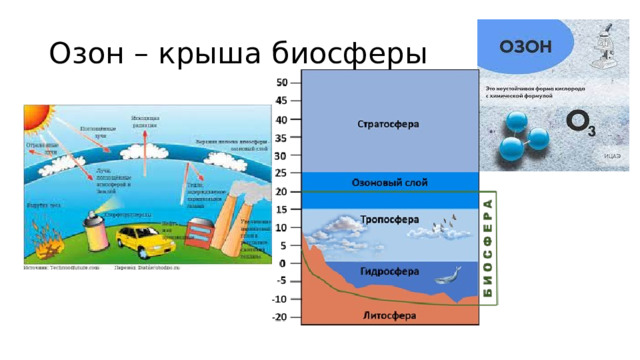 Озон – крыша биосферы 