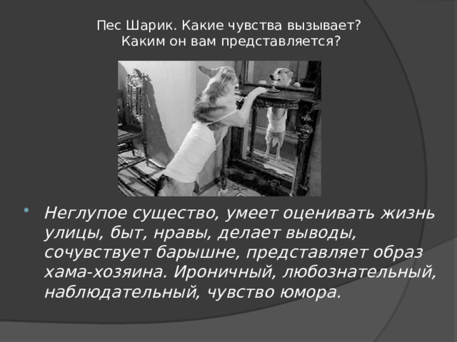Пес Шарик. Какие чувства вызывает?  Каким он вам представляется?   Неглупое существо, умеет оценивать жизнь улицы, быт, нравы, делает выводы, сочувствует барышне, представляет образ хама-хозяина. Ироничный, любознательный, наблюдательный, чувство юмора. 
