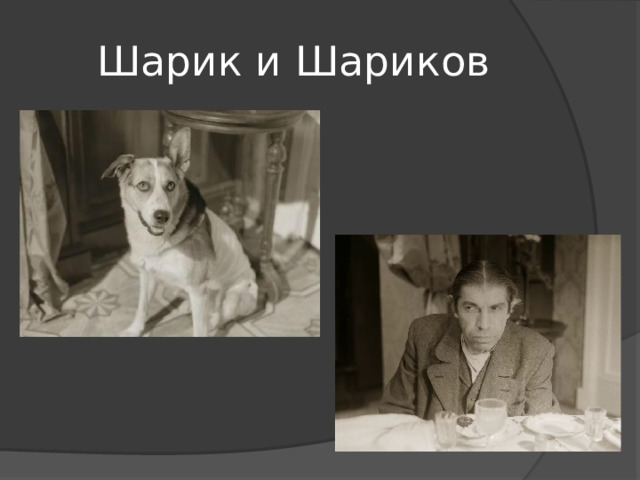 Шарик и Шариков 