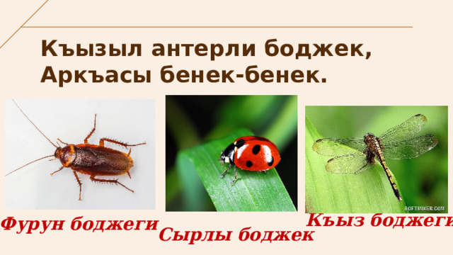 Къызыл антерли боджек,  Аркъасы бенек-бенек. Къыз боджеги Фурун боджеги Сырлы боджек 