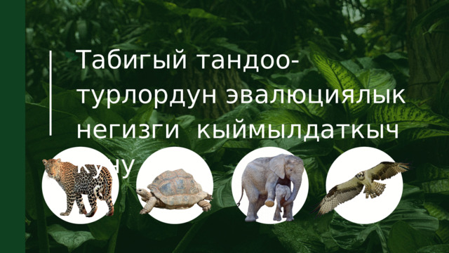 Табигый тандоо-турлордун эвалюциялык негизги кыймылдаткыч кучу 