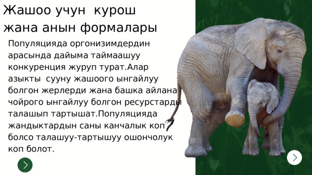 Жашоо учун курош жана анын формалары Популяцияда оргонизимдердин арасында дайыма таймаашуу конкуренция журуп турат.Алар азыкты сууну жашоого ынгайлуу болгон жерлерди жана башка айлана чойрого ынгайлуу болгон ресурстарды талашып тартышат.Популяцияда жандыктардын саны канчалык коп болсо талашуу-тартышуу ошончолук коп болот. 
