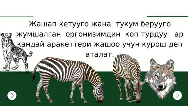 Жашап кетууго жана тукум берууго жумшалган оргонизимдин коп турдуу ар кандай аракеттери жашоо учун курош деп аталат. 