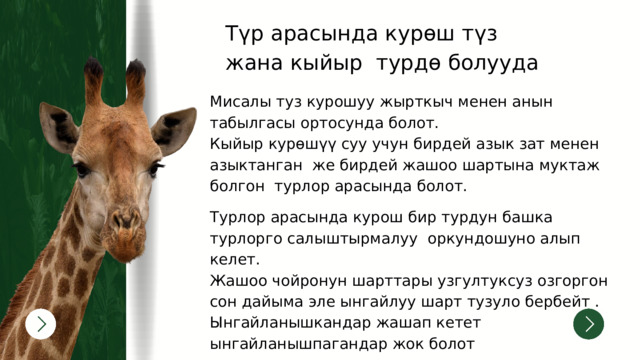 Түр арасында курөш түз жана кыйыр турдө болууда Мисалы туз курошуу жырткыч менен анын табылгасы ортосунда болот. Кыйыр курөшүү суу учун бирдей азык зат менен азыктанган же бирдей жашоо шартына муктаж болгон турлор арасында болот. Турлор арасында курош бир турдун башка турлорго салыштырмалуу оркундошуно алып келет. Жашоо чойронун шарттары узгултуксуз озгоргон сон дайыма эле ынгайлуу шарт тузуло бербейт . Ынгайланышкандар жашап кетет ынгайланышпагандар жок болот 