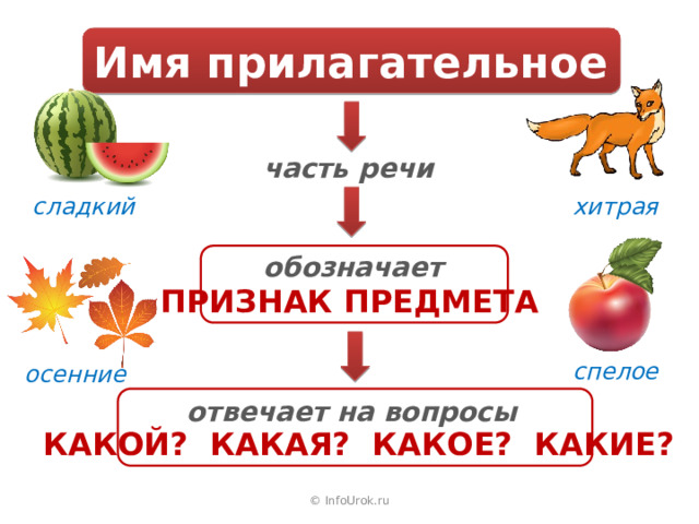Имя прилагательное часть речи хитрая сладкий обозначает ПРИЗНАК ПРЕДМЕТА спелое осенние отвечает на вопросы КАКОЙ? КАКАЯ? КАКОЕ? КАКИЕ? © InfoUrok.ru 
