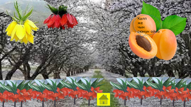Калп же чын оюнун ойно 