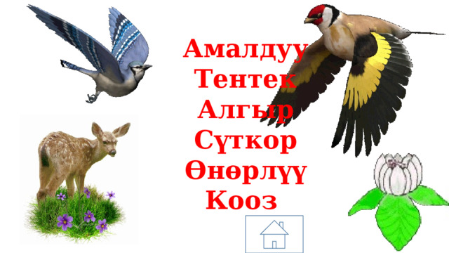 Амалдуу Тентек Алгыр Сүткор Өнөрлүү Кооз 