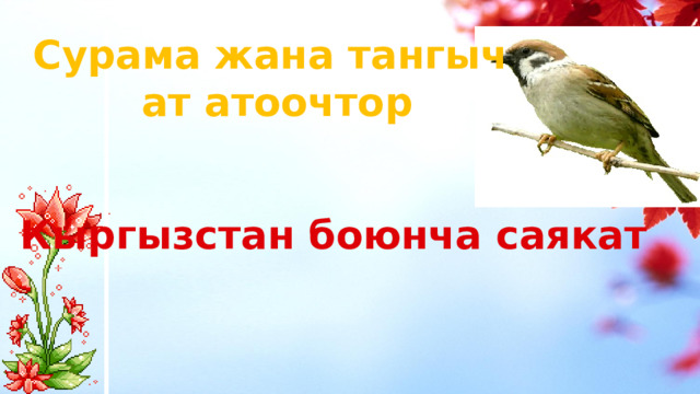 Сурама жана тангыч  ат атоочтор Кыргызстан боюнча саякат 