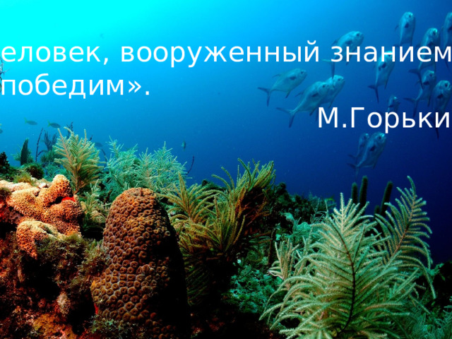 «Человек, вооруженный знанием – непобедим».  М.Горький. 