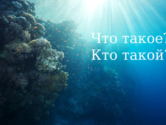 Что такое? Кто такой? 