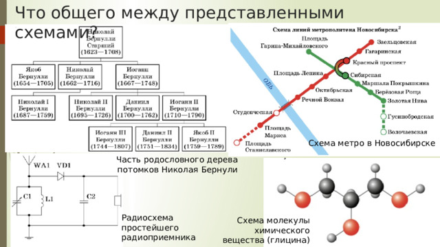 Что общего между представленными схемами? Схема метро в Новосибирске Часть родословного дерева потомков Николая Бернули Радиосхема простейшего радиоприемника Схема молекулы химического вещества (глицина) 
