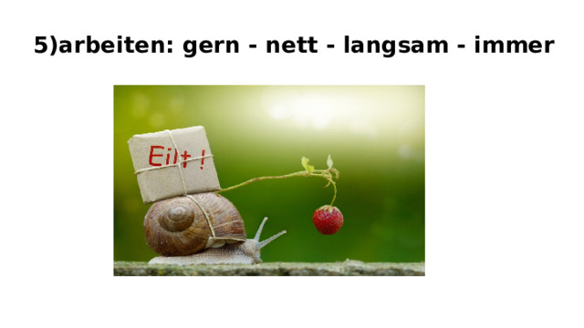  5)arbeiten: gern - nett - langsam - immer 