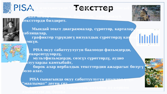 Тексттер  PISA изилдөөсүндө 